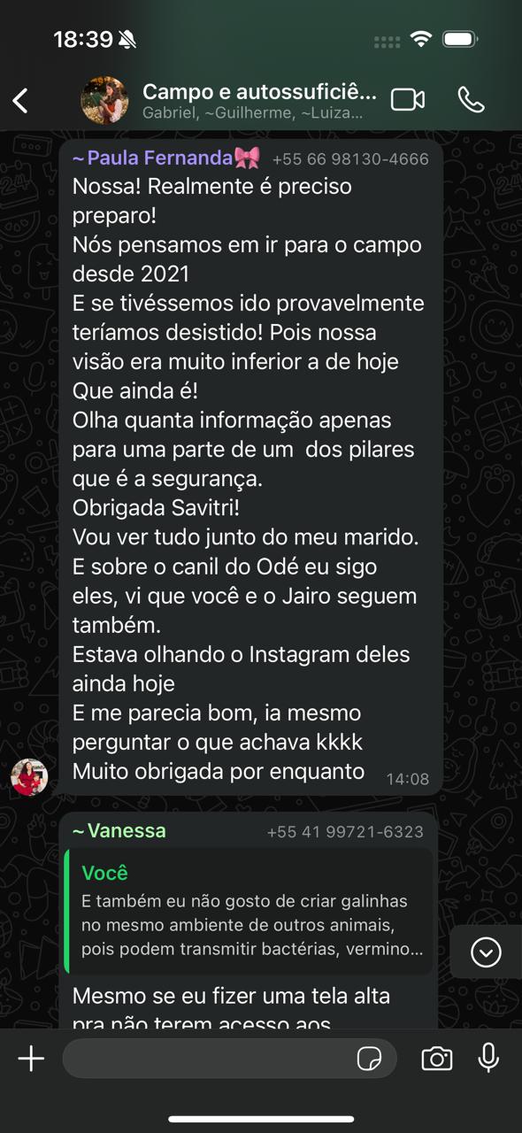 Conversa de participantes da Comunidade Raiz